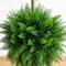 3.5ft. UV Resistant Cedar Double Ball Topiary Tree in White Decorative Planter